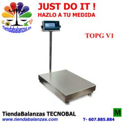 TOPGi v1 335x305/550X420/650X500 30/60/150/300Kg Baxtran portada