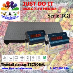 TGIi 8080/1010/1210/1212/1512/1515/2015 300/600/1500/3000Kg portada fondo