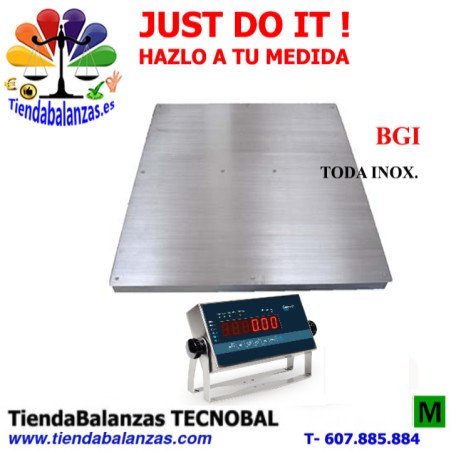 BGI 1212/1512/1515 1500/3000Kg Plataforma inox Baxtran visor inox portada