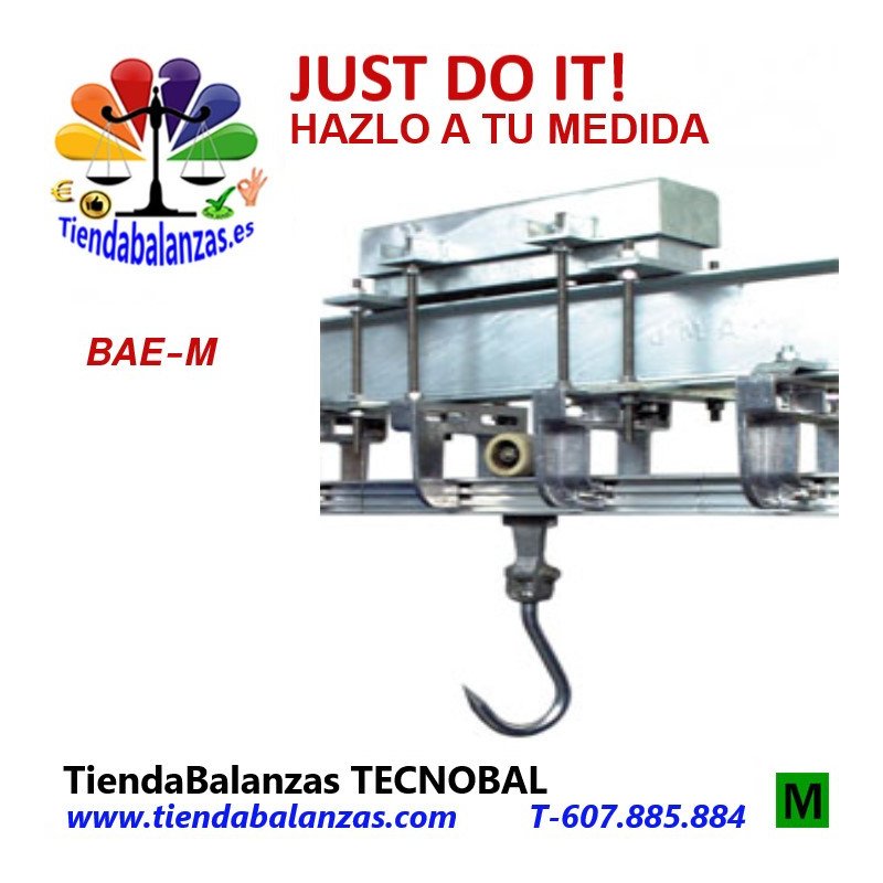 BAEM 150 kg BASCULA AEREA GRUPO EPELSA