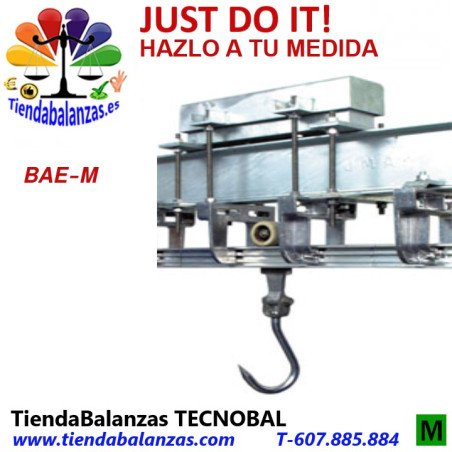 BAEM 150 kg BASCULA AEREA GRUPO EPELSA