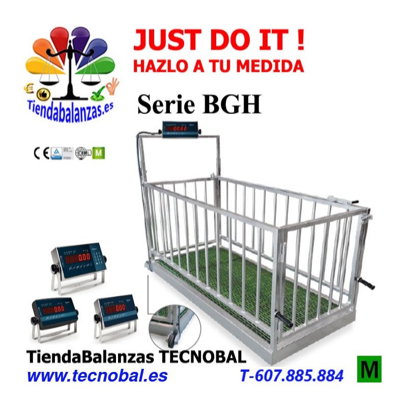 BGH BASCULA GANADERA 940x2150 mm. 600Kg 200g BAXTRAN portada