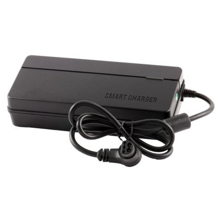 Cargador G-100/24V E-POWER de Epelsa.