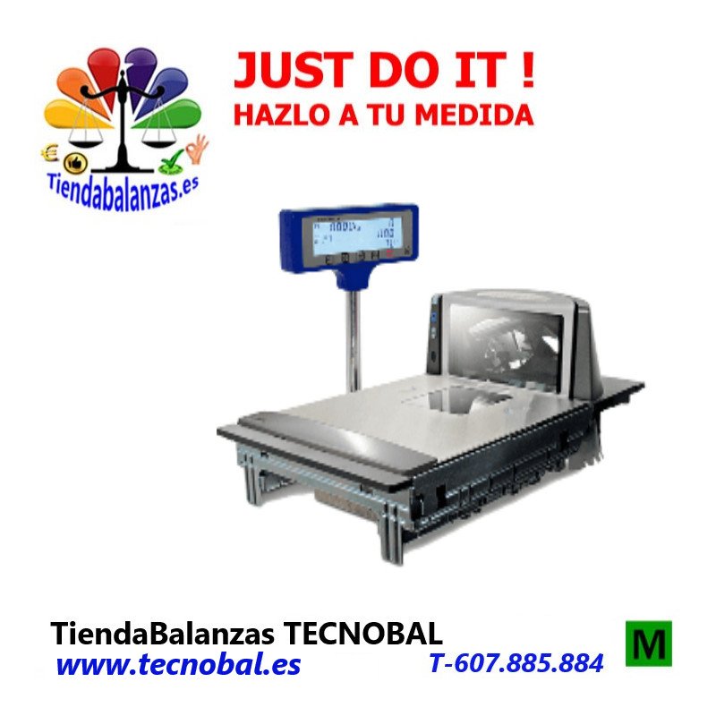 CHECKOUT SYSTEM 8325 de Epelsa portada.