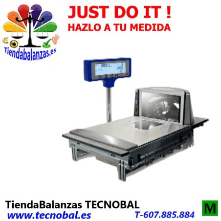 CHECKOUT SYSTEM 8325 de Epelsa portada.