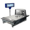 CHECKOUT SYSTEM 8325 de Epelsa.