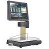 TOUCHSCALE XS 20 I E-POWER-BAT. INTERIOR. Pantalla 15” / Trasera 9" de Epelsa..